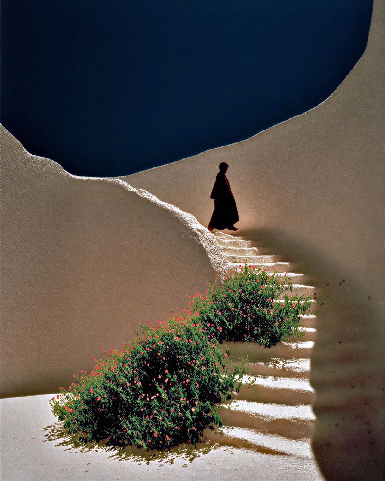 Escalera blanca curva entre vegetación, bajo un cielo azul